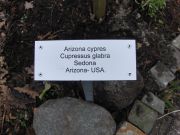 Naambordjes voor het Pinetum