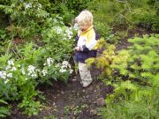 Pinetum ook voor kinderen